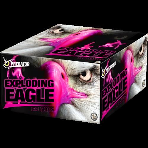 Exploding Eagle 144-Schuss-Feuerwerkverbund von Lesli ab 97.74€ jetzt bestellen